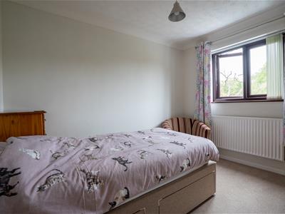 Picture 14